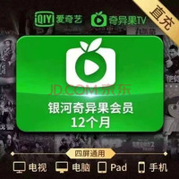 iQIYI 愛奇藝 白金VIP會員年卡12個(gè)月 支持電視端 愛奇藝白金會員年