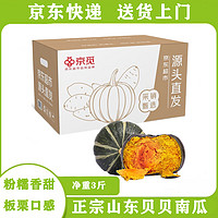 京覓 山東貝貝南瓜 凈重3斤 中果300-750g 粉糯香甜新鮮蔬菜源頭直發(fā)