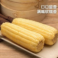 東北糯玉米真空包裝 220g*10支