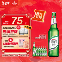 TSINGTAO 青島啤酒 純生8度 600ml*12瓶 整箱