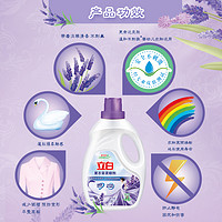 Liby 立白 薰衣草柔順劑6kg護(hù)形柔順防靜電持久留香伴侶