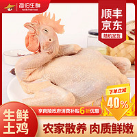 彥伯生鮮 農(nóng)家放養(yǎng)散養(yǎng)整雞 土雞（整雞）約800g/只*2只