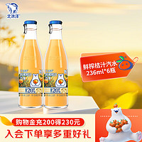 北冰洋 Plus：北冰洋 老北京玻璃瓶果汁碳酸飲料 236ml*6瓶