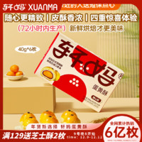 軒媽 plus:軒媽家蛋黃酥糕點40g*6枚裝零食源頭直發(fā)包郵