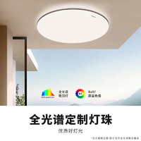 Panasonic 松下 吸頂燈臥室燈全光譜米家智能 IP40護(hù)眼燈 掠影咖色50瓦HHXS5166