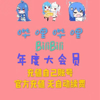 bilibili 嗶哩嗶哩 會(huì)員12個(gè)月 bilibili會(huì)員B站大VIP會(huì)員1年卡