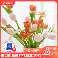 某東鮮花 進(jìn)口郁金香鮮花盲盒20枝顏色隨機(jī)水養(yǎng)鮮切花源頭直發(fā)28