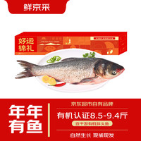 查干湖 CHINGREE 冬捕有機(jī)胖頭魚 8.5-9.4斤