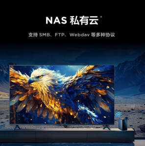 雷鳥 鵬7 25款 65S387C Pro 液晶電視 65英寸 4K