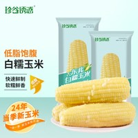 珍谷誘惑 白糯玉米 2.6kg*1箱 10支