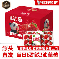 愉果 大涼山紅顏99草莓 2盒禮盒單果12g+凈600g