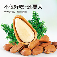 蜜禾（食品） 手剝東北開口松子500g堅(jiān)干果松子仁瓜子炒貨零食