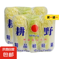 京喜 JX 新鮮精品娃娃菜現(xiàn)砍現(xiàn)發(fā)霜凍娃娃菜小包裝 新鮮娃娃菜1*(3棵)*1包