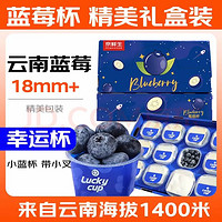 京鮮生 Mr.Seafood 云南藍(lán)莓超能杯 12杯 果徑18mm+ 新鮮水果 源頭直發(fā)