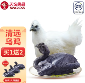 供港品質(zhì)！天農(nóng) 山林散養(yǎng)烏鳳雞1.2斤*3只