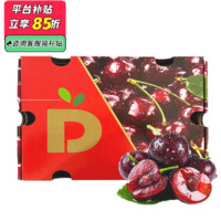 XIANFENG FRUIT 鮮豐水果 智利車?yán)遄?5斤精選禮盒