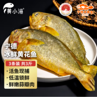 BAP認(rèn)證 黃小漁 冰鮮寧德黃花魚 3斤/3條