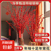 京喜 JX 銀柳真花鮮枝 紅色年宵花 10枝 60cm