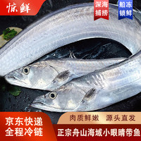 驚鮮 東海帶魚原條禮盒5斤150-200g/條