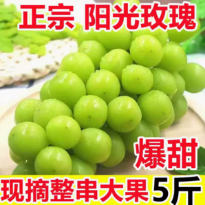 某寶買菜農(nóng)場直發(fā)！ 香印青提 陽光玫瑰葡萄 彩箱5斤 中果8g