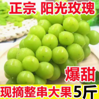 淘寶買菜農(nóng)場直發(fā)！ 香印青提 陽光玫瑰葡萄 彩箱5斤 中果8g