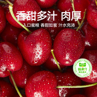 喵滿分 智利車厘子櫻桃J/JJ/JJJ2.5kg禮盒裝新鮮水果