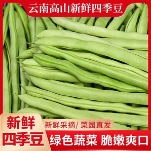 新鮮現(xiàn)摘四季豆云南豆角農(nóng)家自種應(yīng)季蔬菜長(zhǎng)扁蕓豆子整箱包郵炒菜