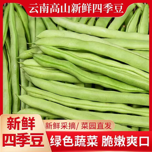 新鮮現(xiàn)摘四季豆云南豆角農(nóng)家自種應(yīng)季蔬菜長扁蕓豆子整箱包郵炒菜