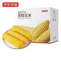 某東京造 東北黃糯玉米1.6kg（8根）