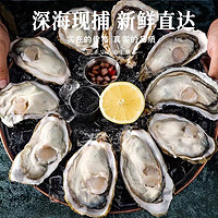 喵滿分 鮮活乳山生蠔特大刺身級可生食牡蠣帶殼海蠣子5斤海鮮貝類水產(chǎn)