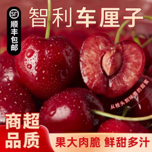 智利進(jìn)口車?yán)遄?斤裝進(jìn)口原箱順豐某東包郵多汁時(shí)令新鮮水果