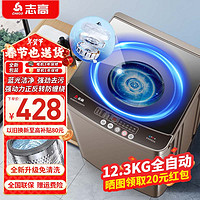 志高 13KG全自動(dòng)洗衣機(jī) 家用小型波輪大容量 洗脫烘干一體機(jī)