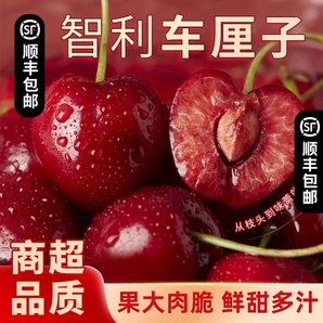 智利進(jìn)口車?yán)遄?斤裝進(jìn)口原箱順豐某東包郵多汁時(shí)令新鮮水果