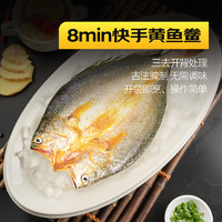 鮮京采 醇香黃魚鲞 250g*5條