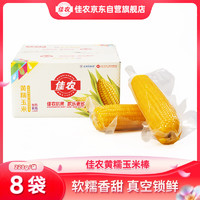 佳農 東北黃糯玉米棒8袋*220g 軟糯香甜 真空鎖鮮 源頭直發(fā) 禮盒包郵
