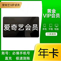愛(ài)奇藝 VIP會(huì)員年卡12個(gè)月