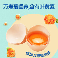 天珍牧場 葉黃素谷物鮮雞蛋30枚1.35kg