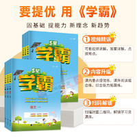 《25春5星小學學霸提優(yōu)大試卷》