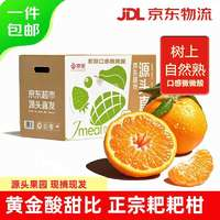 京覓 四川春見(jiàn)耙耙柑凈重8斤80mm-90mm大果新年水果禮盒源頭直發(fā)