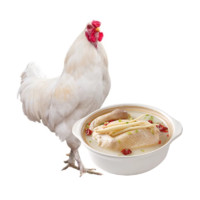 散養(yǎng)白羽雞 冷凍 730g*4只