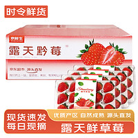 京鮮生 Mr.Seafood 黔莓大涼山露天草莓2斤 單果15-25g 新鮮水果源頭直發(fā) 包郵