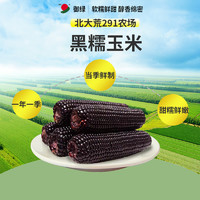 御綠 黑龍江 黑糯玉米 8根 1600g