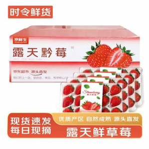 京鮮生 黔莓大涼山露天草莓2.4斤 單果15g-25g