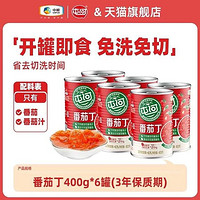 屯河 番茄丁400g*6罐