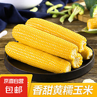 東北黃糯玉米 220g*3根