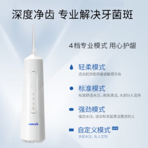 Waterpik 潔碧 GSX 沖牙器水