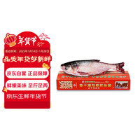 查干湖 CHINGREE 魚 胖頭魚 冷凍有機胖頭魚 冬捕十號 5.5-6斤 1條 海鮮禮盒 年貨