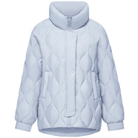 波司登 奧萊特價清倉秋季羽絨服女立領(lǐng)防風(fēng)保暖時尚百搭外套B30135304 彩雀紫6194 XL 175/96A