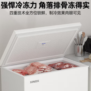 XINGX 星星 140升家用商用減霜凈味冰柜