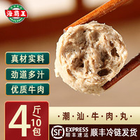 海霸王 潮汕牛肉丸牛筋丸組合 200g*10包